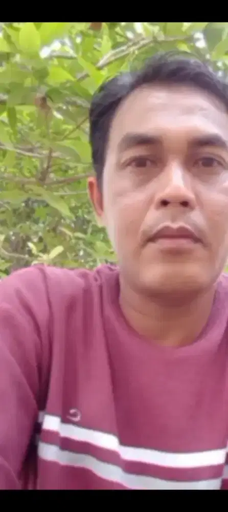 Supir harian/panggilan