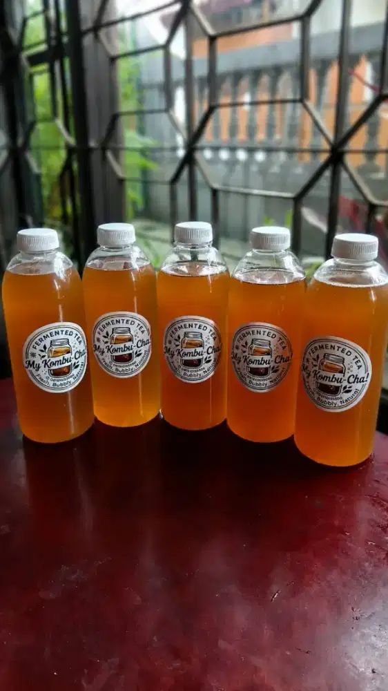 Dijual Minuman Teh Fermentasi MY KOMBU-CHA