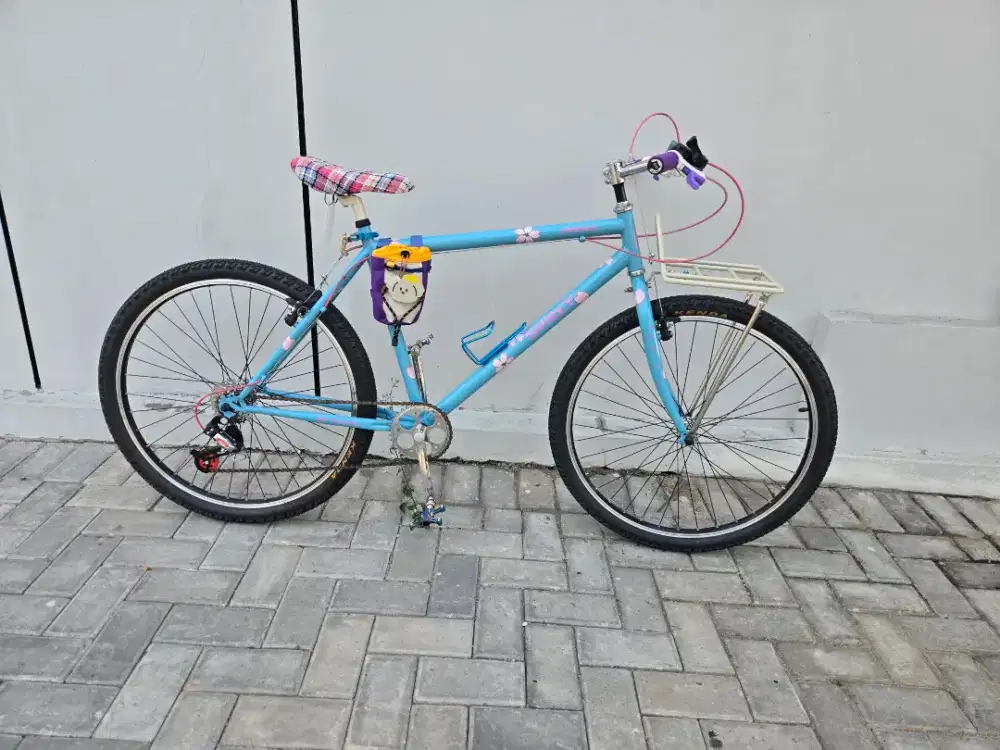 Sepeda Commuter Bike Kalcer Surly Federal