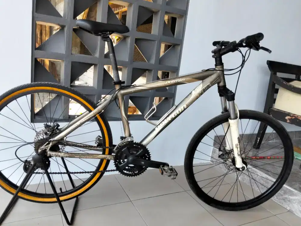 Polygon premier 26