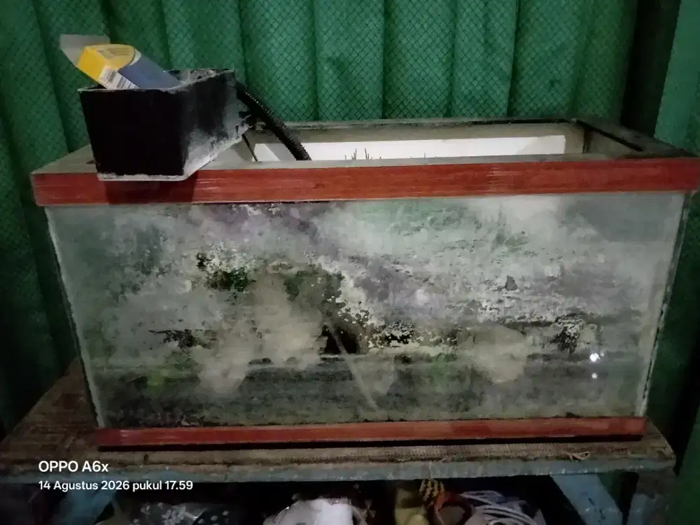 Aquarium bekas 150