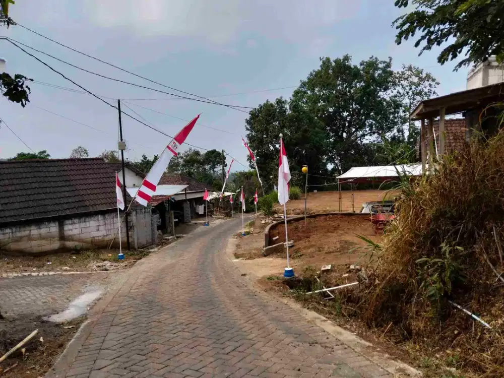 Kebun Jeruk Klampok Singosari Malang