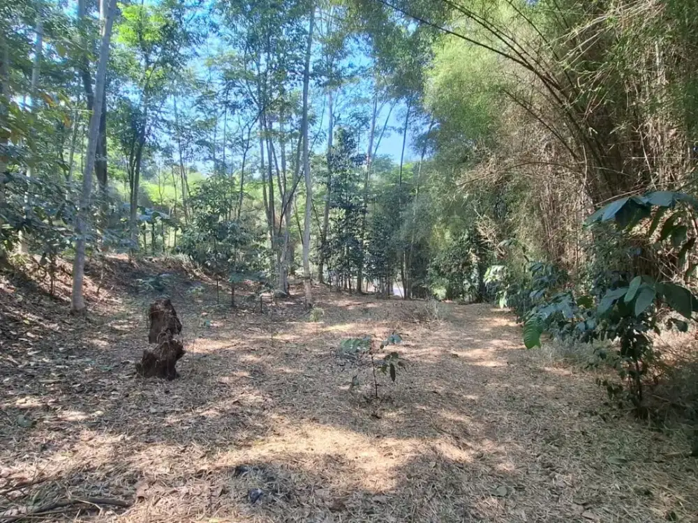 Jual Tanah Di Pinggir Jalan Sukaraja Kelurahan Pasir Angin, Kec. Megamendung, Kab. Bogor