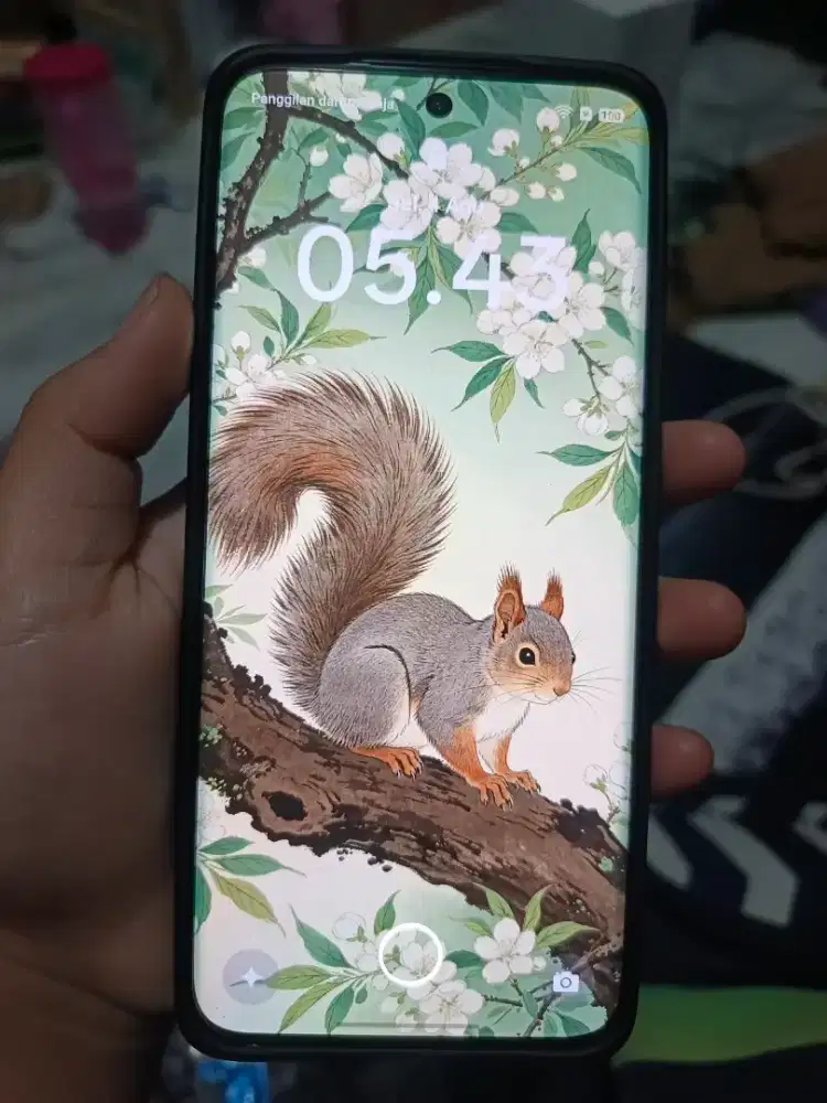 Oppo Reno 12 5G