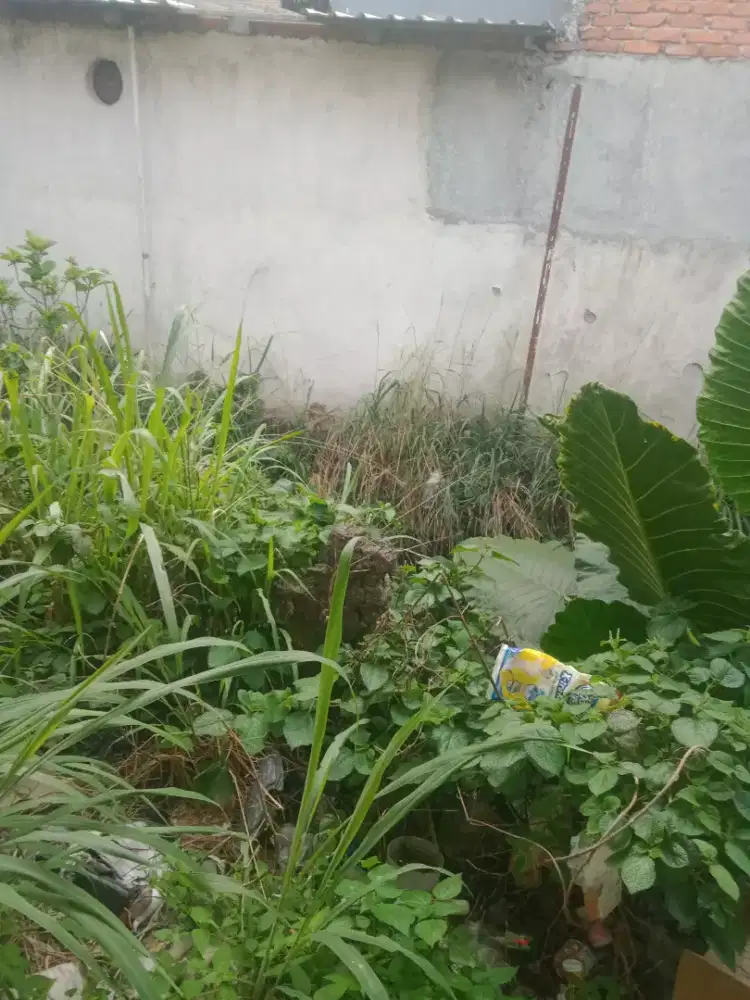 Nyari pekerjaan apa saja