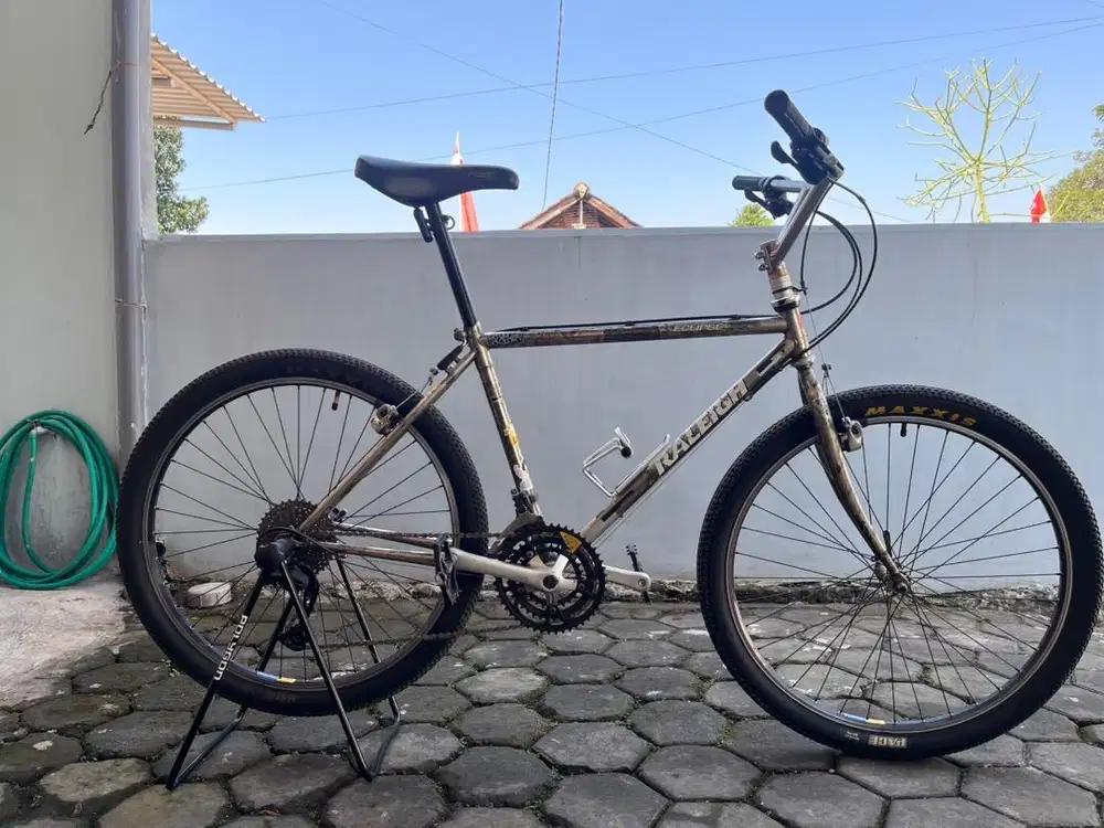 RALEIGH ECLIPSE