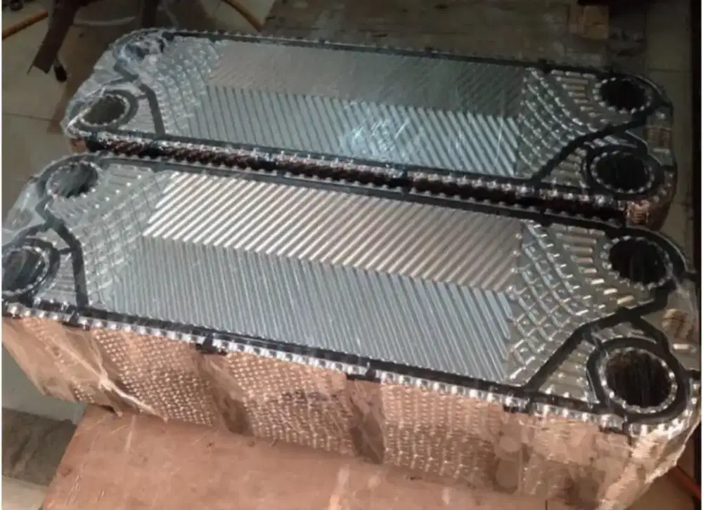 Gasket Phe m10m