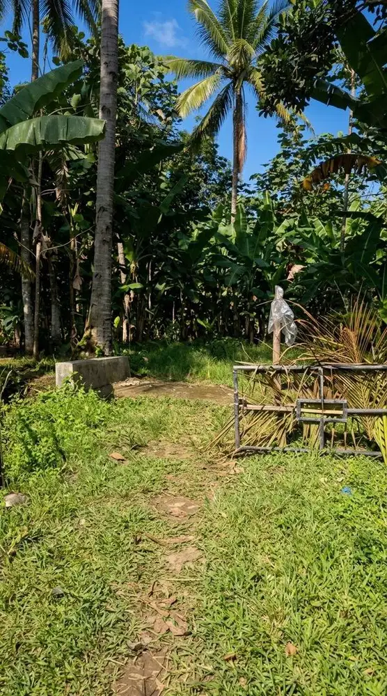DIJUAL TANAH LUAS 1.7 HA PROSPEK VILLA/RESORT, LICIN BANYUWANGI