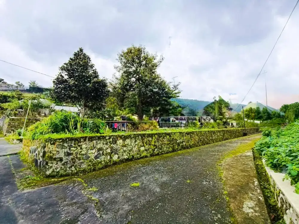 Dijual tanah disegorogunung