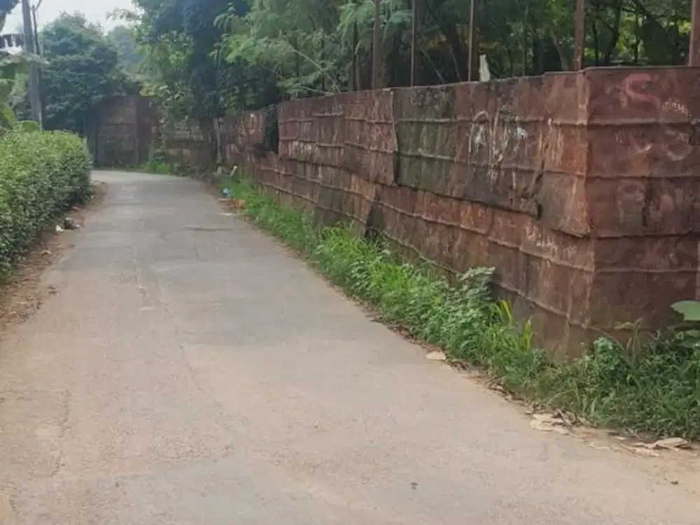 Lahan Istimewa TERMURAH Jl. Tanjung, Pengasinan, Gunung Sindur, Bogor