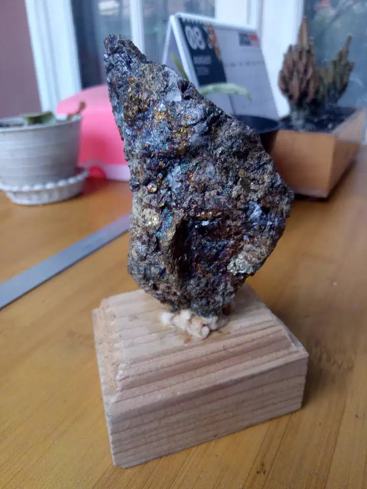 Batu Mulia Badar Emas Natural Dari Timika | Batu Akik Permata
