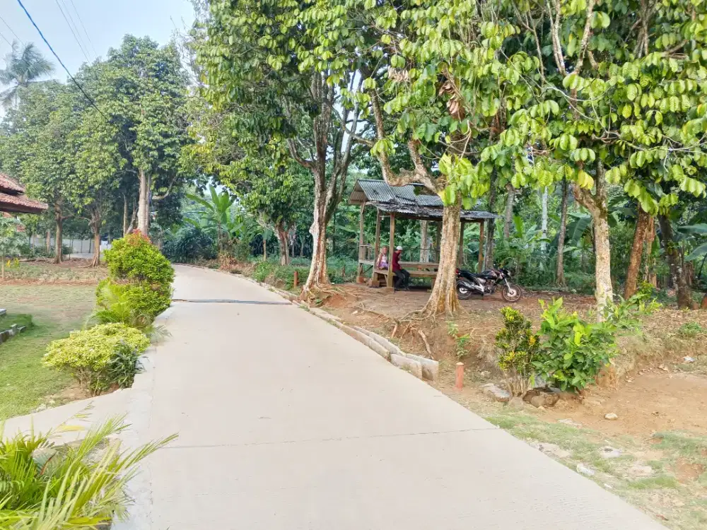 Di jual lhan kebun dukuh & durian lt 2500 MTR pinggir jln