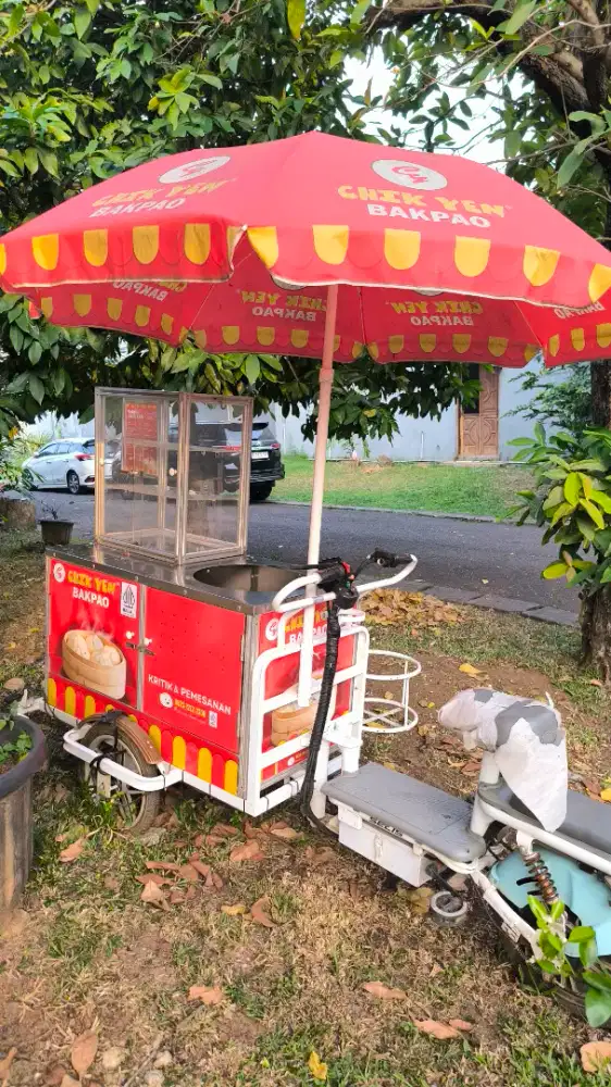 Gerobak Sepeda Listrik SELIS