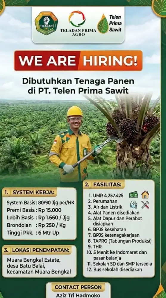 Dibutuhkan pemanen
