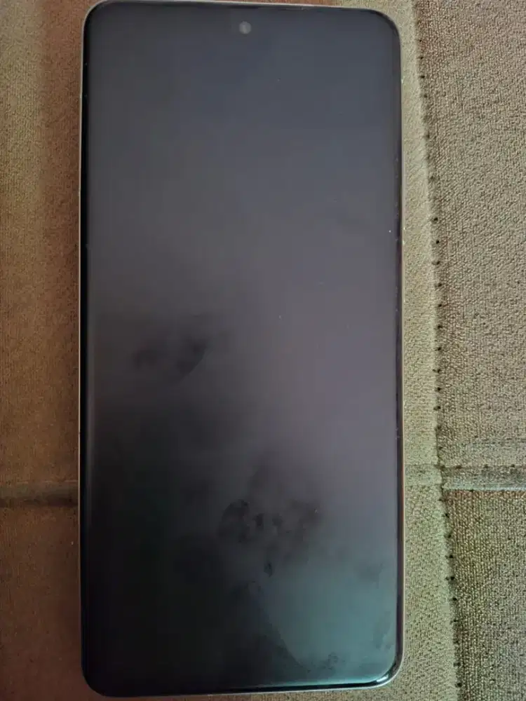 smart phone vivo x200 pro