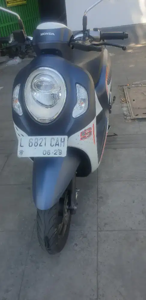 Scoopy Fhasion th 2024 istimewa pjk baru