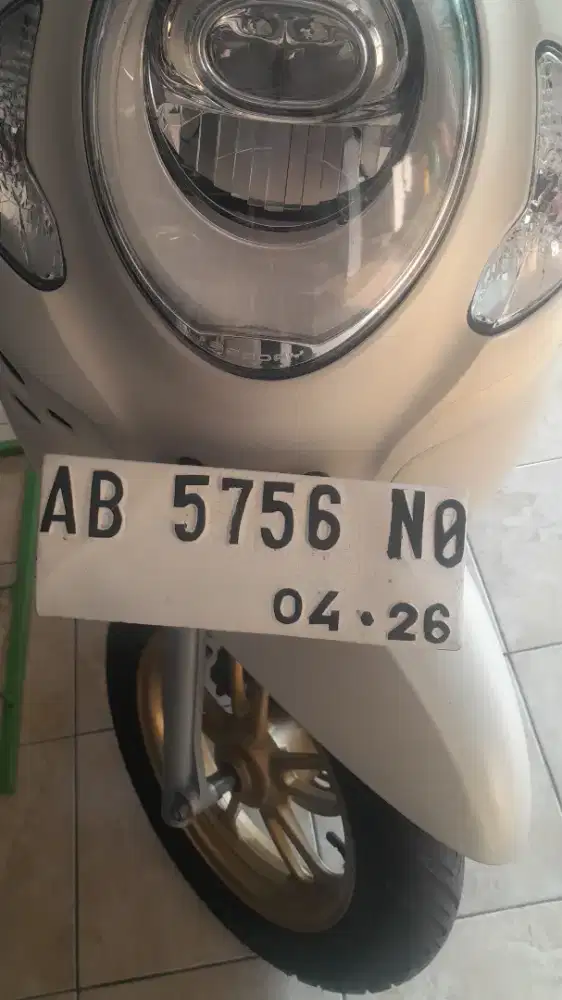 Honda scoopy terawat
