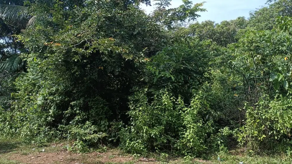 Tanah di Jual 5 menit dari UTU