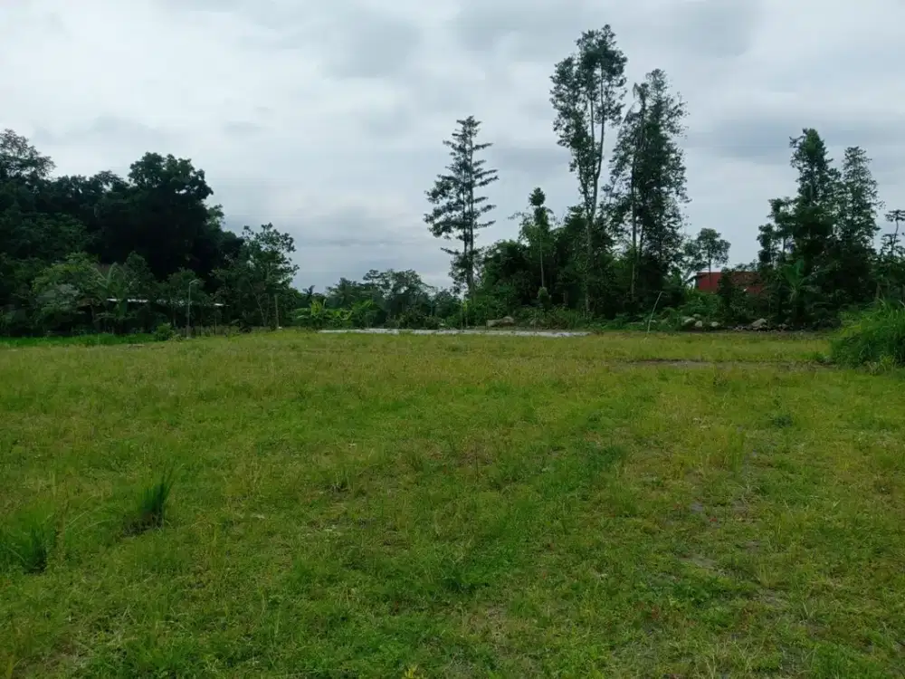 Kavling Tanah Lapang 128-445 m² Ngaglik Sleman 2,3 Jt/m² SHM Pecah