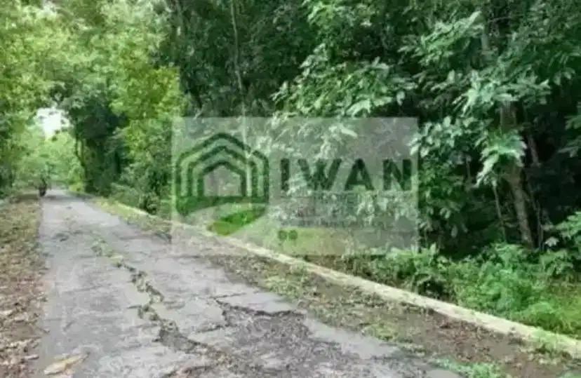 Tanah Pekarangan Strategis Hadap Jalan Lebar 6,5m