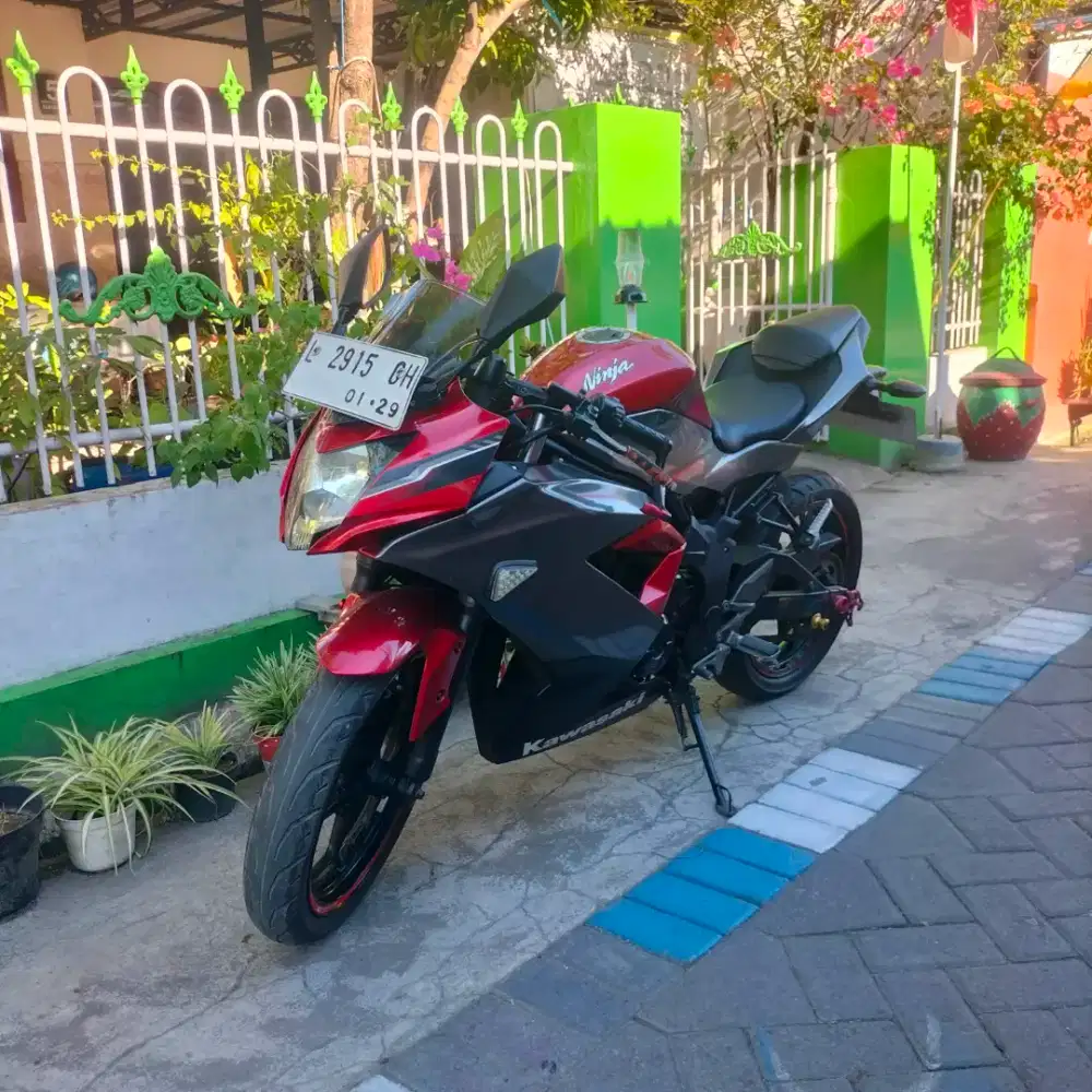 Kawasaki ninja fi mono 250cc tahun 2019