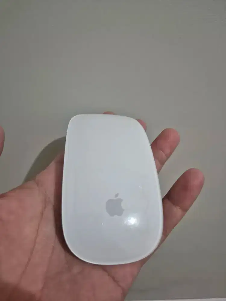 Magic Mouse gen 2