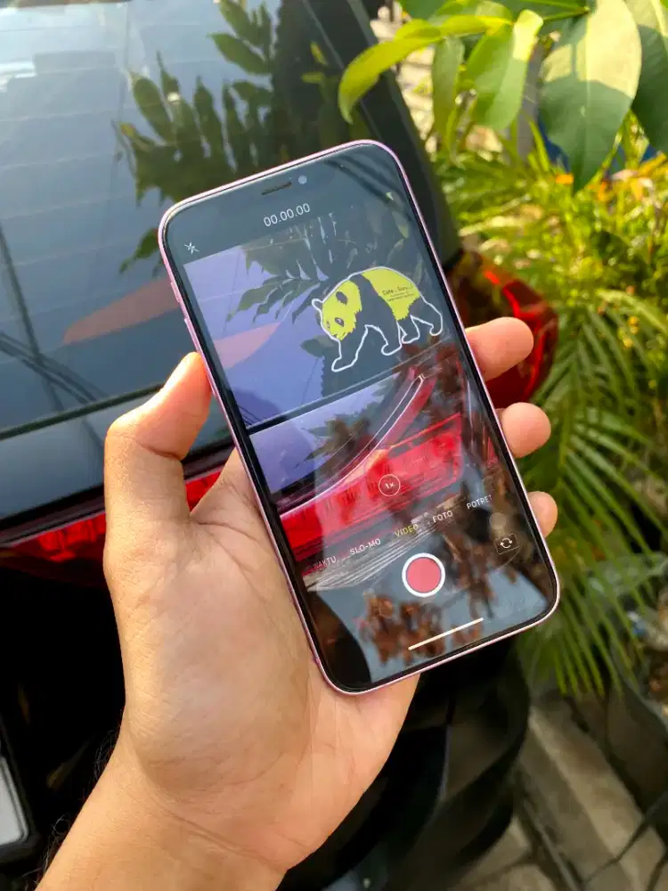 iPhone X 256 GB housing 16 pink