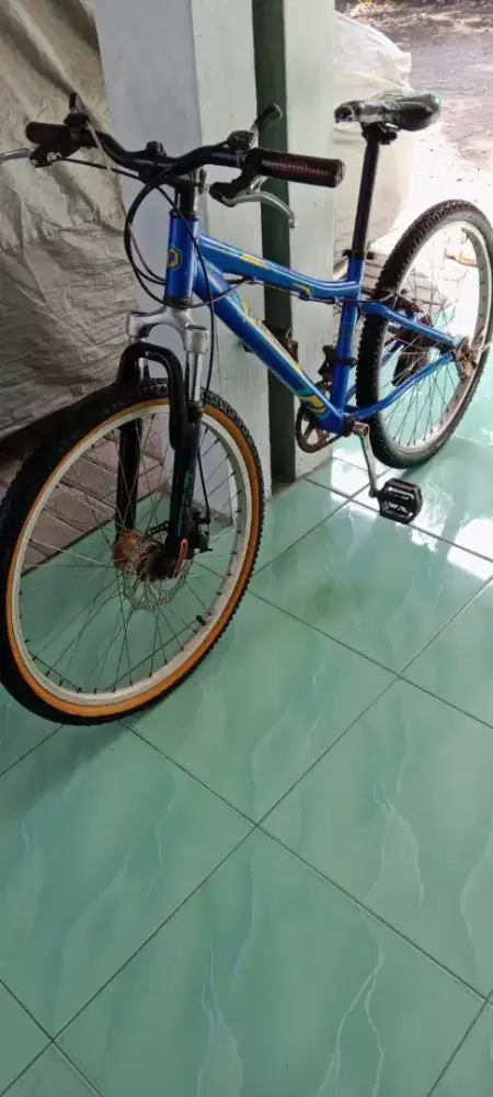 Sepeda gunung polygon