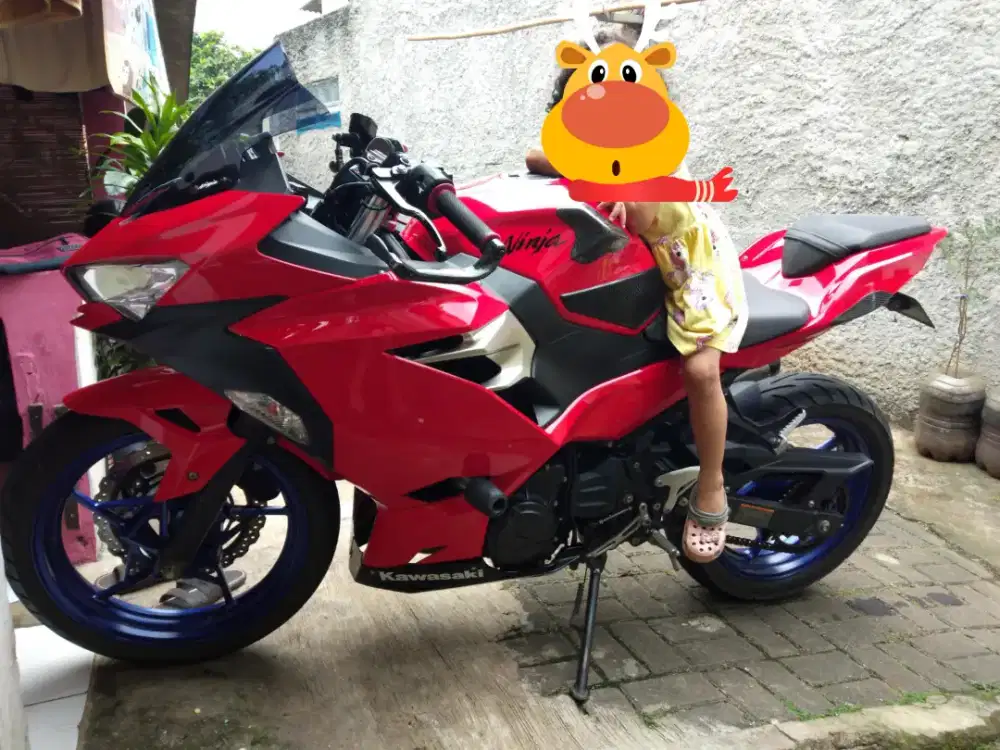 KAWASAKI NINJA FI 2018
