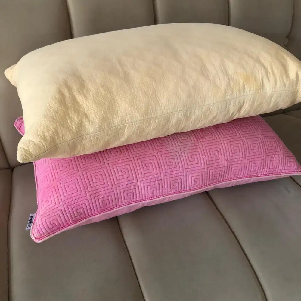 Pillow with Cover