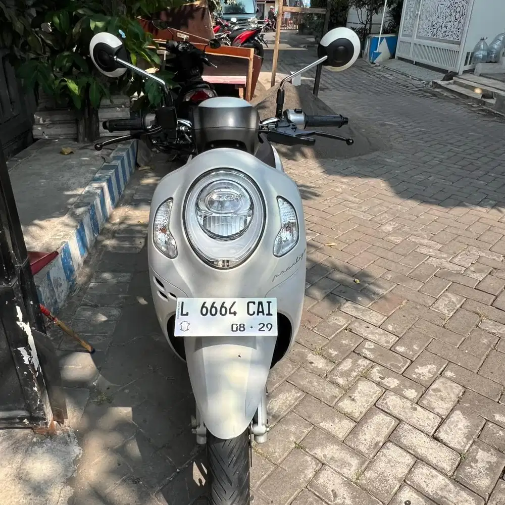 SCOPPY 2024 KM 12rb