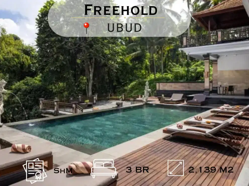 Boutique Hotel with Jungle Views for Sale – Ubud