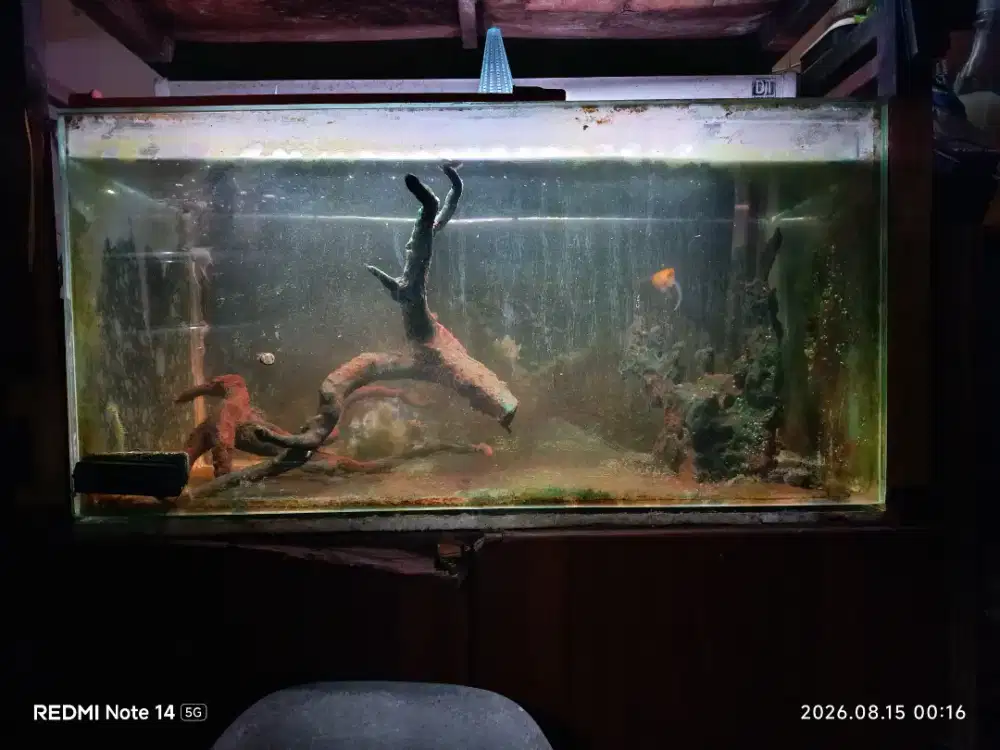Aquarium 80x40x40