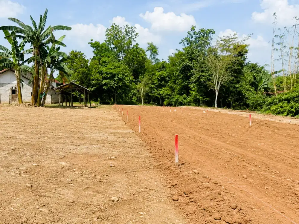 Dijual Kavling Hunian Cisauk Dekat Hiera BSD