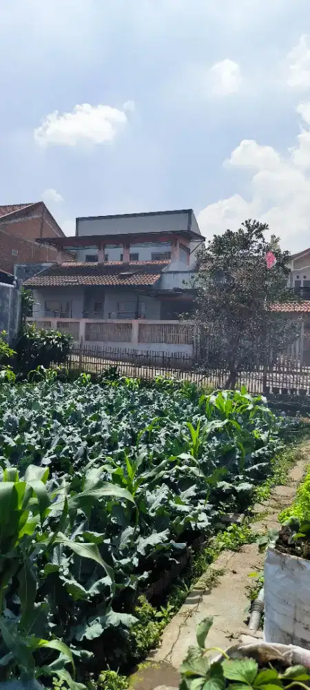 Rumah Villa cocok untuk istirahat