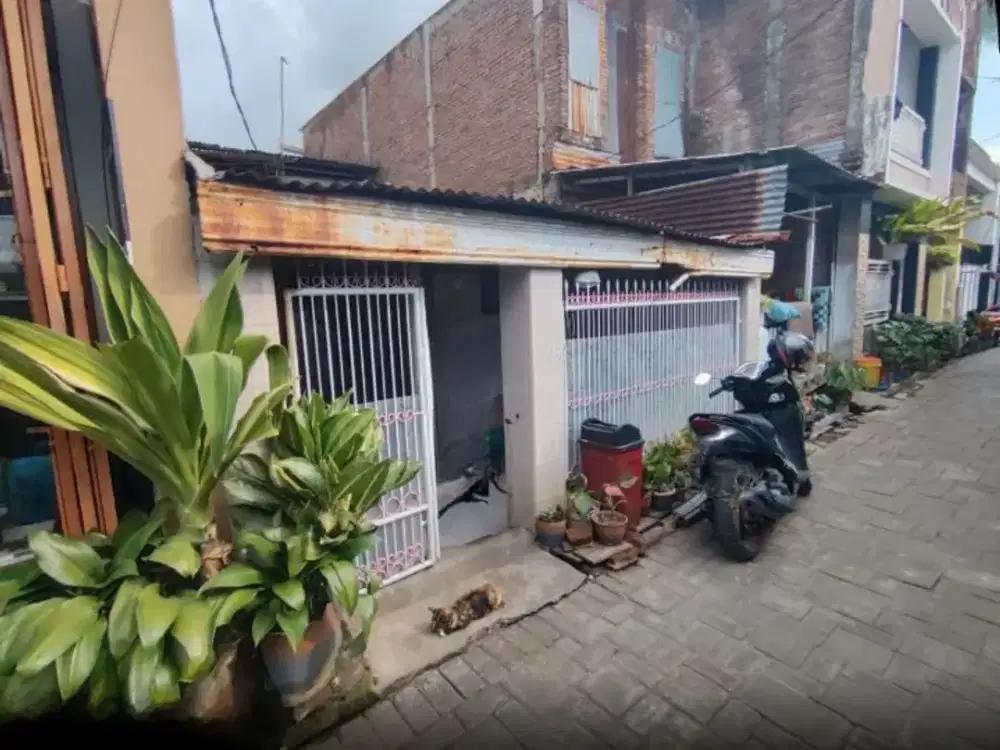 Dijual Rumah Makassar sekitar Jalan Teuku Umar Raya, Jl Sinassara, Jl Gatot Subroto