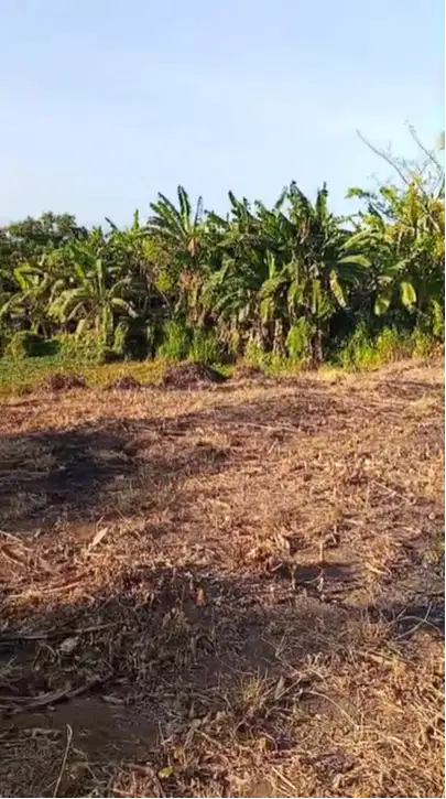 Tanah dijual Daerah Kurung Kejayan