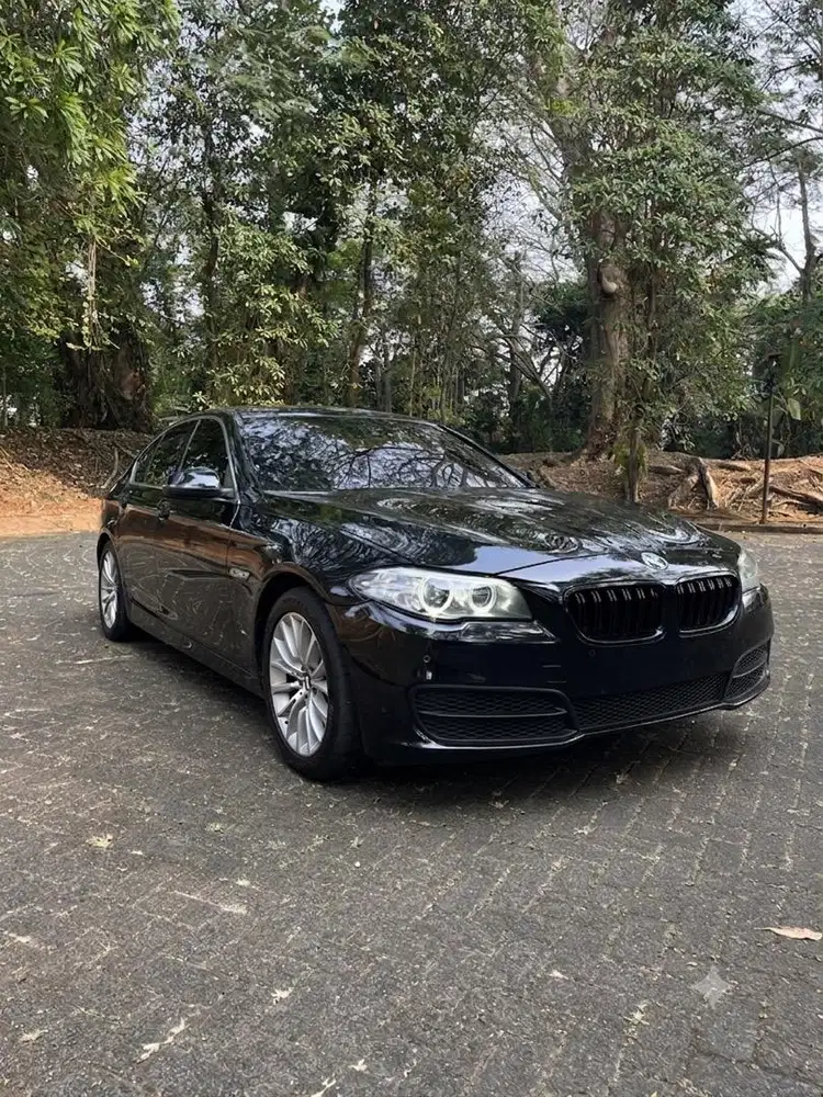 BMW 528i 2015 Bensin