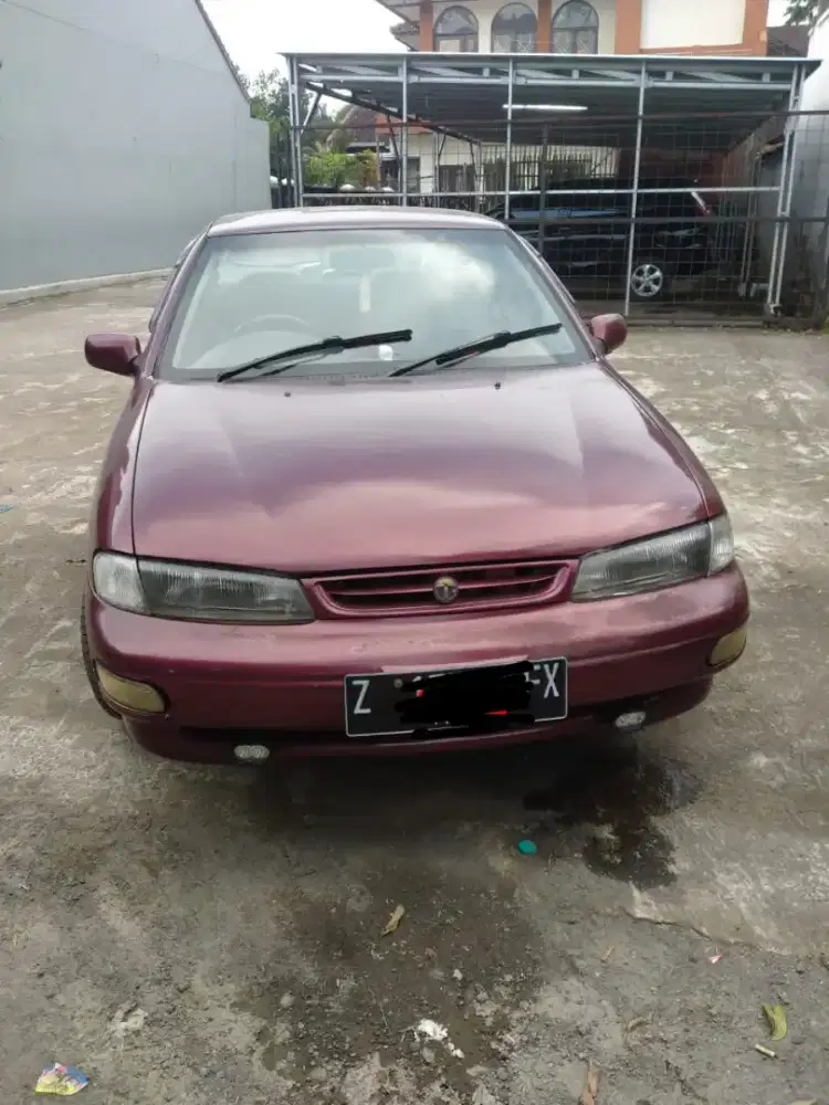 Timor Dohc marun