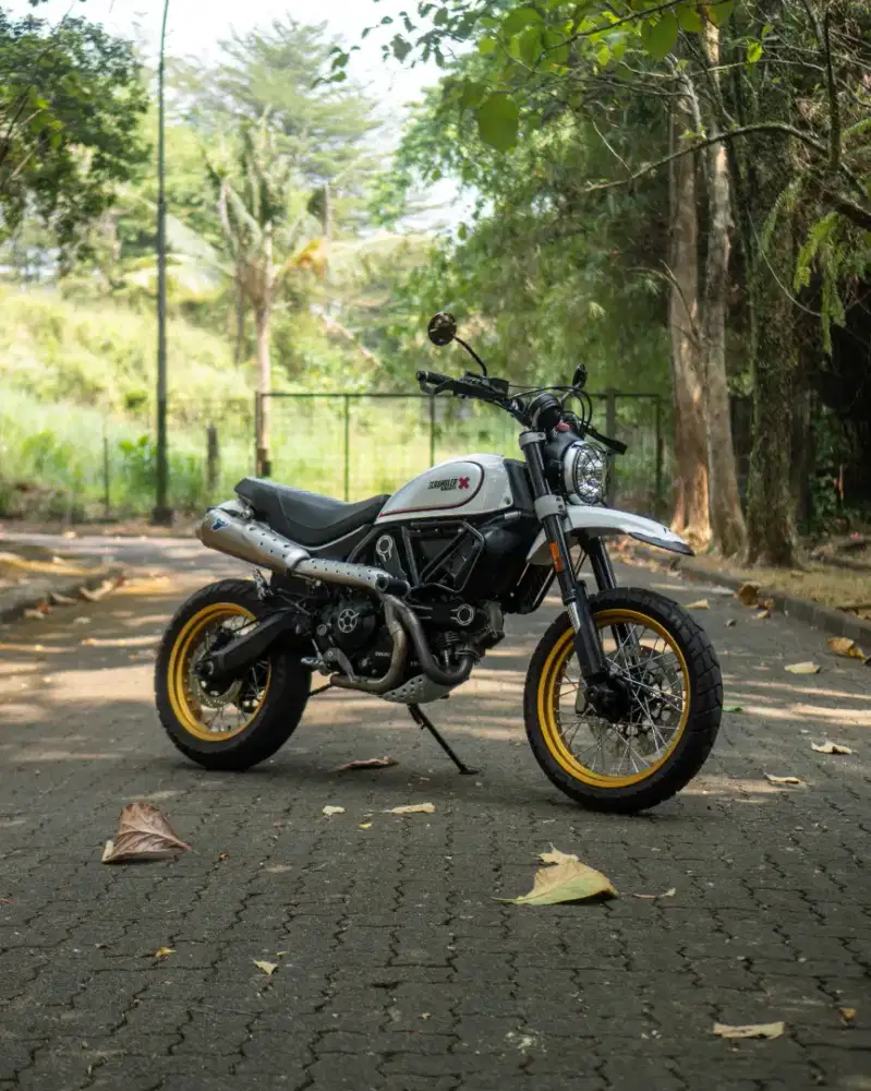 Ducati Scrambler 800 Desert Sled White 2017 Mods Up To 60Jtan