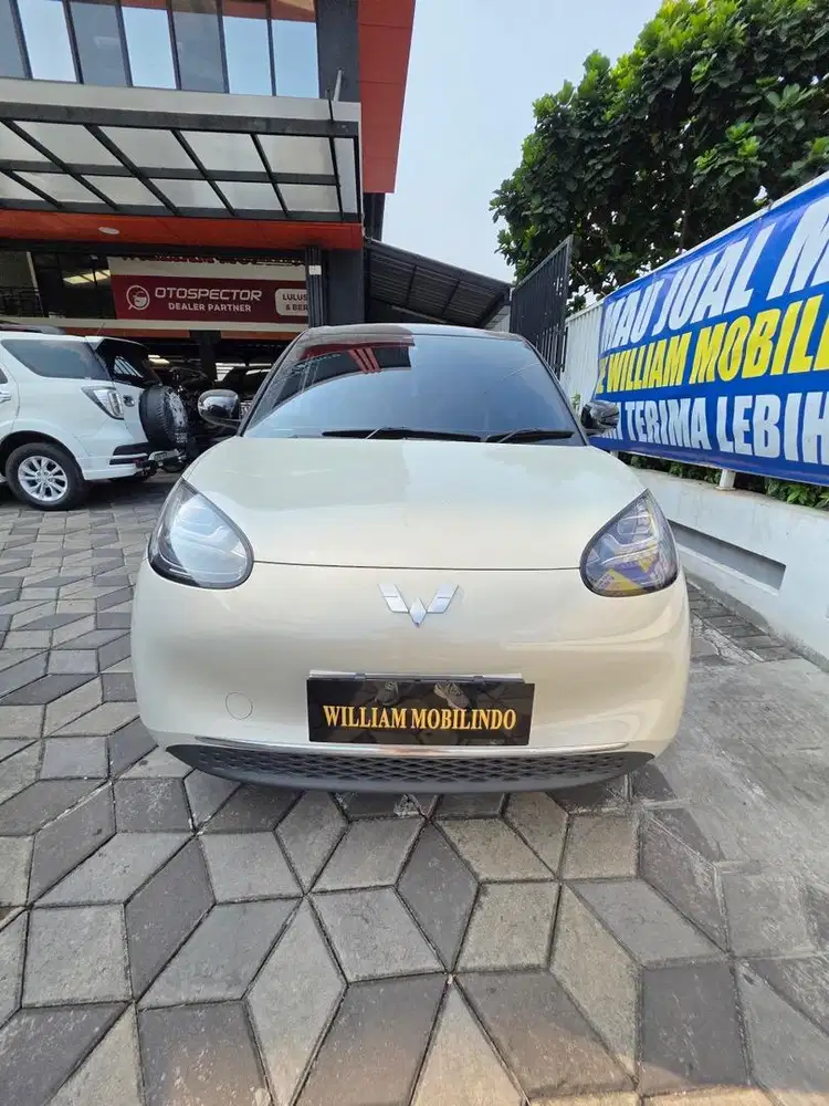 Binguo premium matic 2024