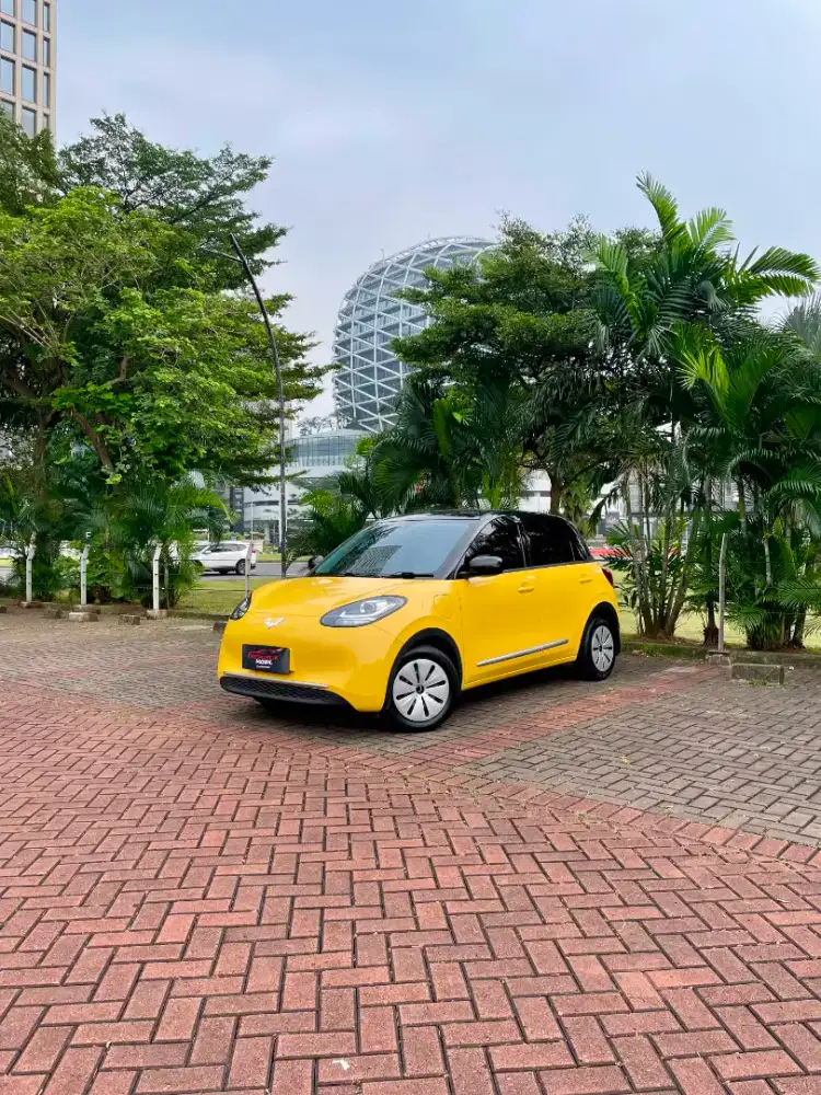 Wuling Binguo EV Lite (4x2) AT 2025
Odo (12rb)  MOBIL LISTRIK MURAH