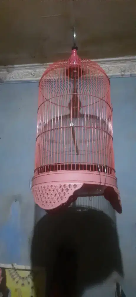 Kandang kapsul jari-jari Tebal.