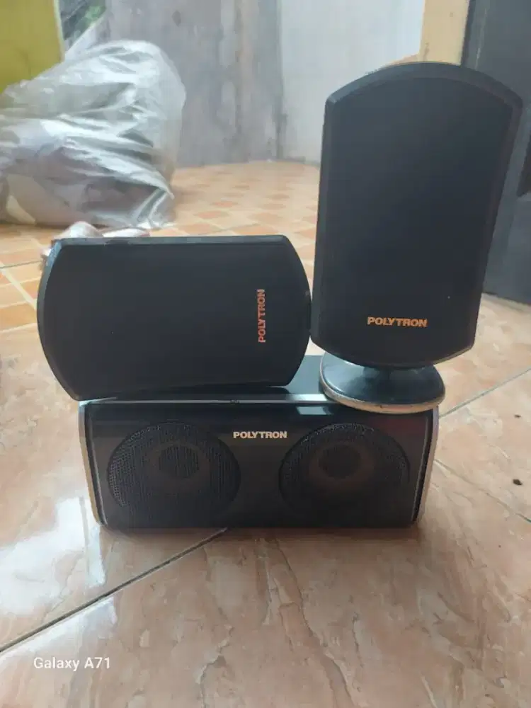 Speaker Polytron