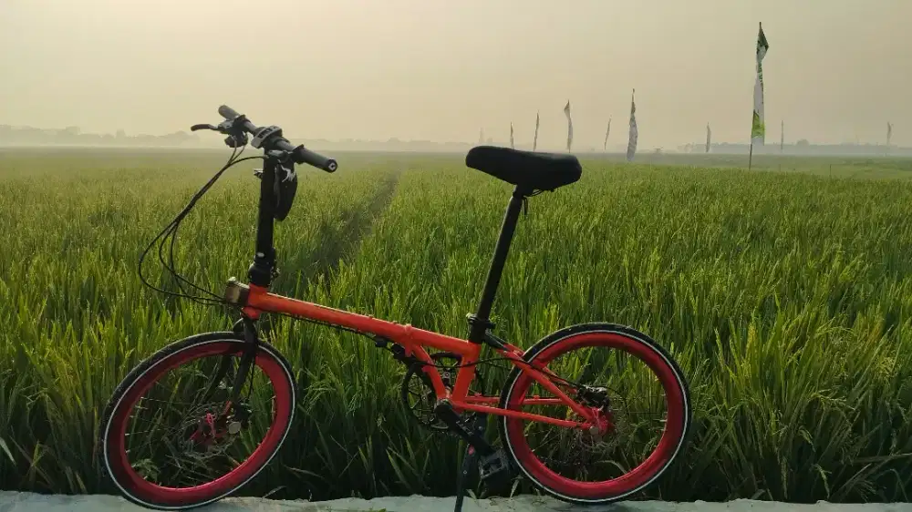 Sepeda Element foldx R11 20+