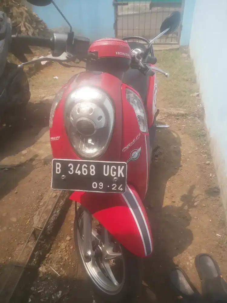 Honda Scoopy 2014