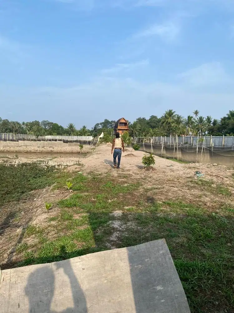 di jual tanah 1,3 HA kalidoni