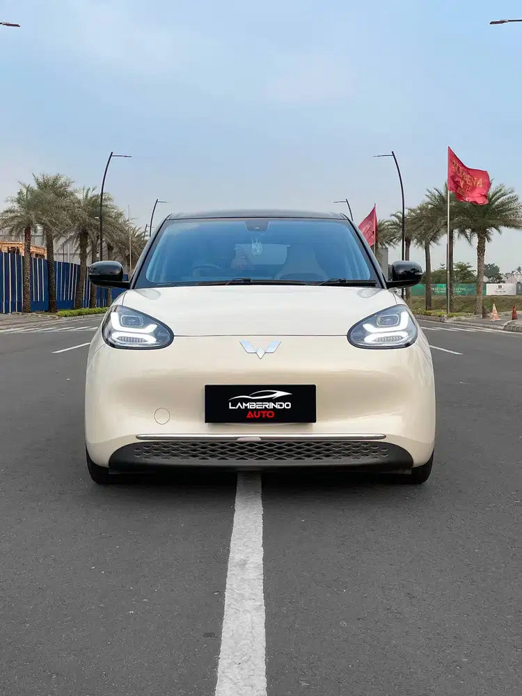 WULING BINGUO EV PREMIUM RANGE 410KM LOW ODO 2025 MILKTEA 2024