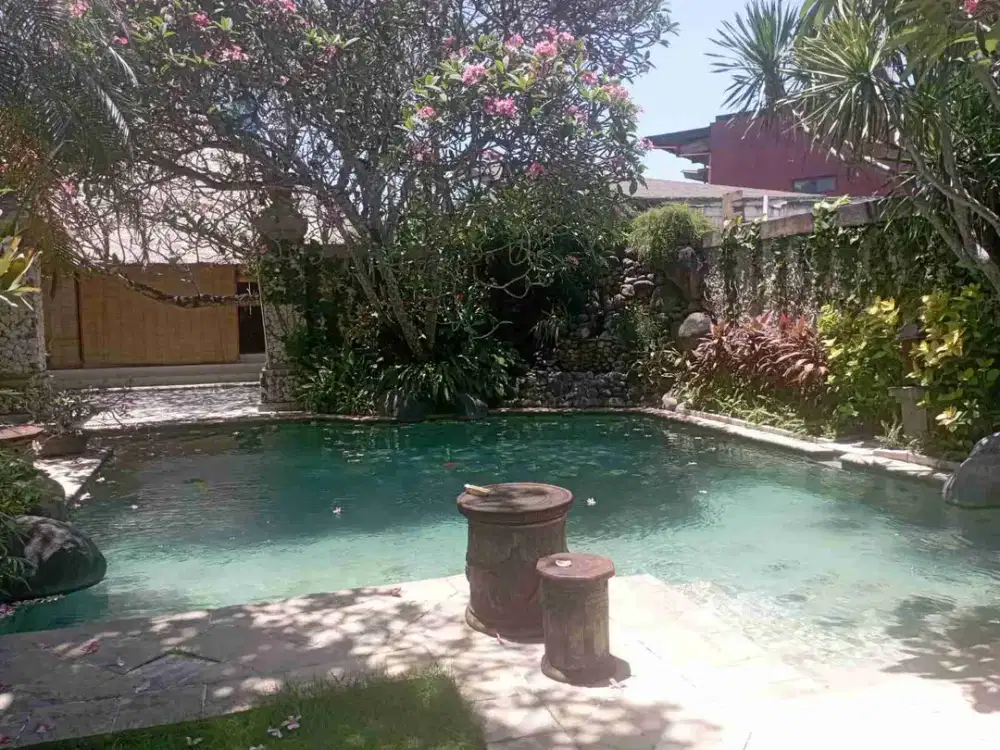 di jual jual isi villa lama luas 21,13are di bumi ayu sanur