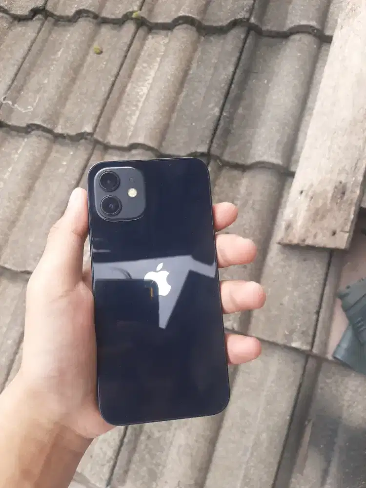 Iphone 12 64gb inter allop